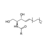CERAMIDE NP